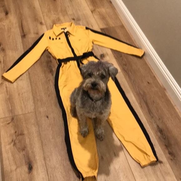 Fashion Nova Pants - Jumpsuit